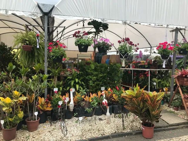 Vendo Floricultura - Foto 4