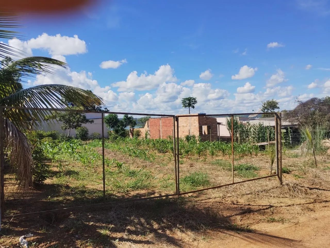 foto - Aparecida de Goiânia - Jardim Olímpico