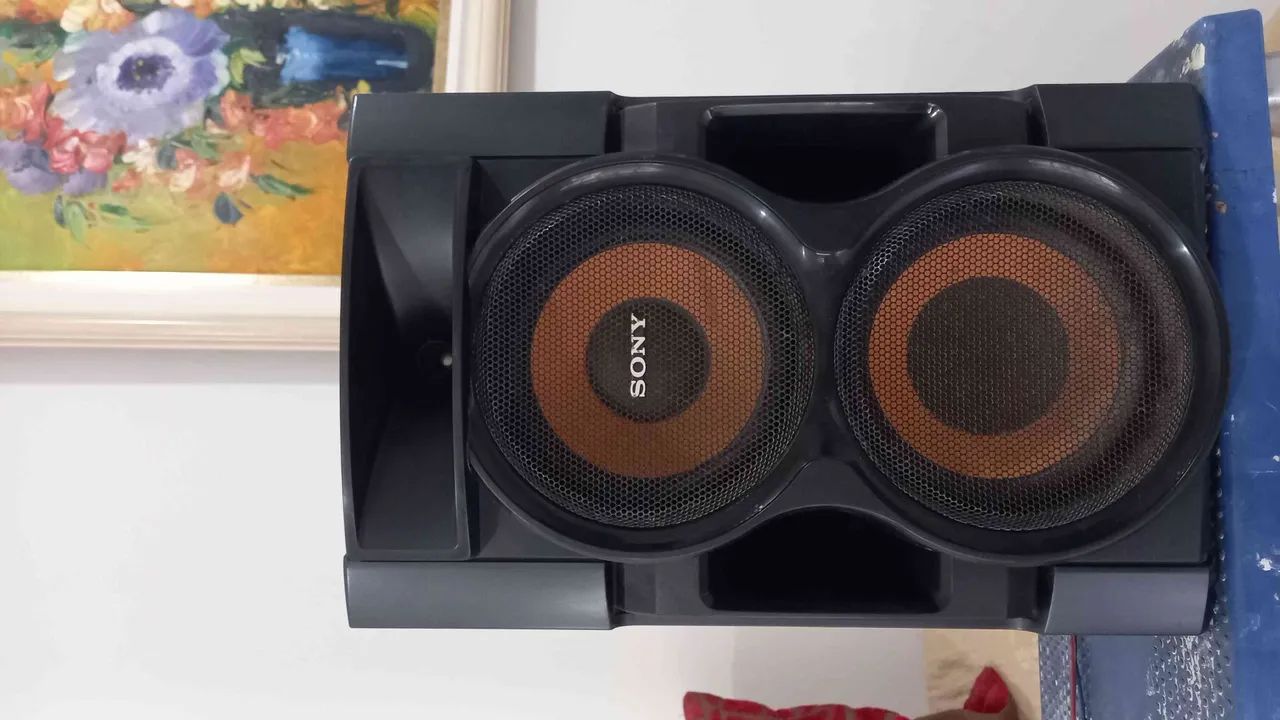 Caixa acústica Sony SS-EC79BR  - Foto 5