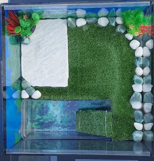 Terrário para Tartarugas - Foto 2