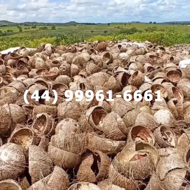 Compro descarte da casca de coco seco 64309220329475120
