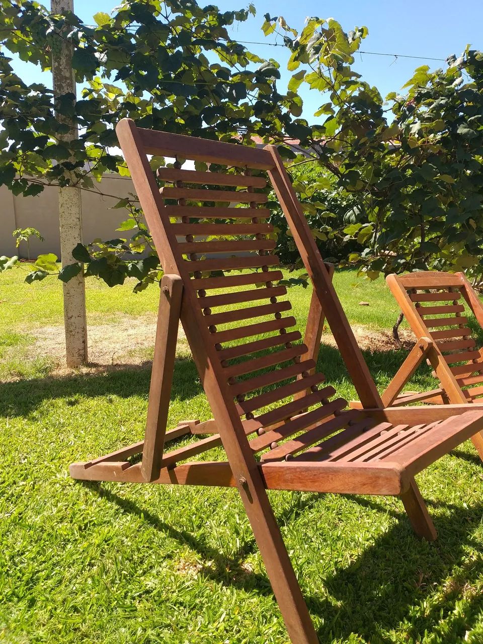 Cadeiras espreguiçadeira 64315291525889122