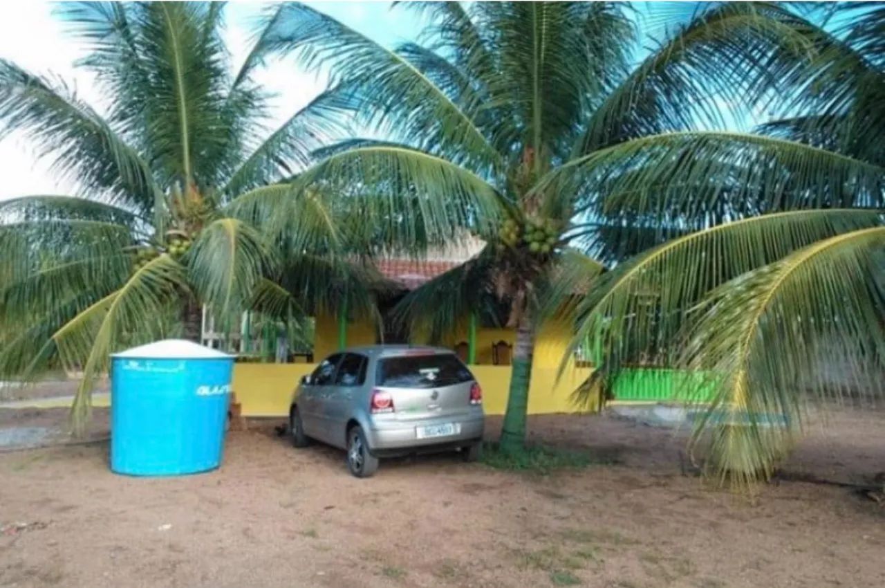 Sítio nas Vazea de Sousa -em Sousa-paraiba  - Foto 3