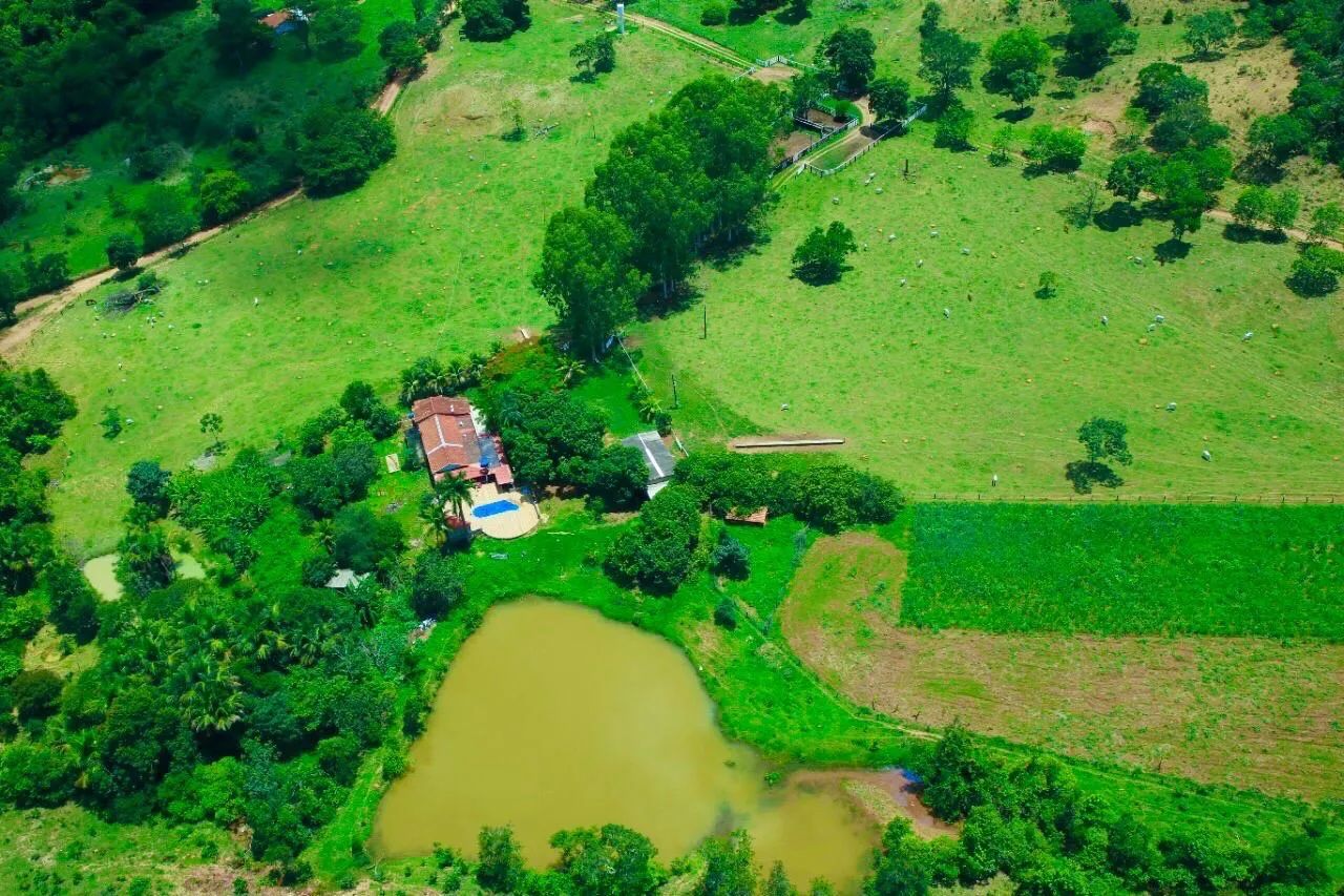 Fazenda a venda no município de URUAÇU Goiás  - Foto 8