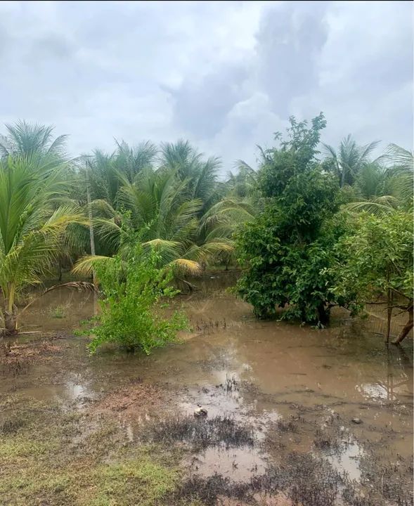 Sítio nas Vazea de Sousa -em Sousa-paraiba  - Foto 2