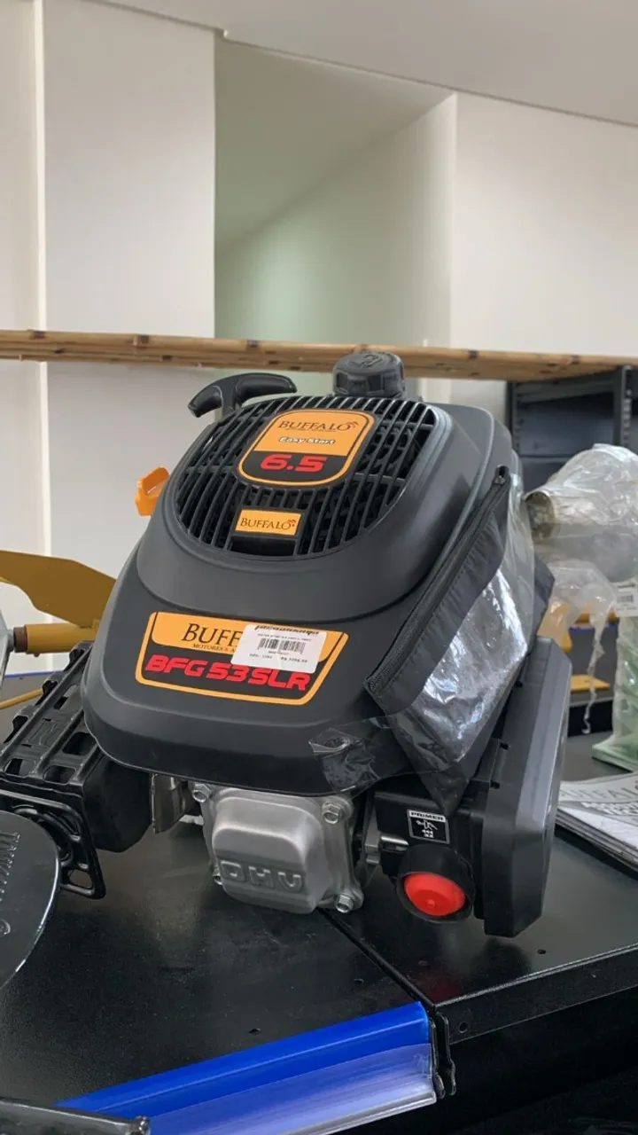 Motor Buffalo