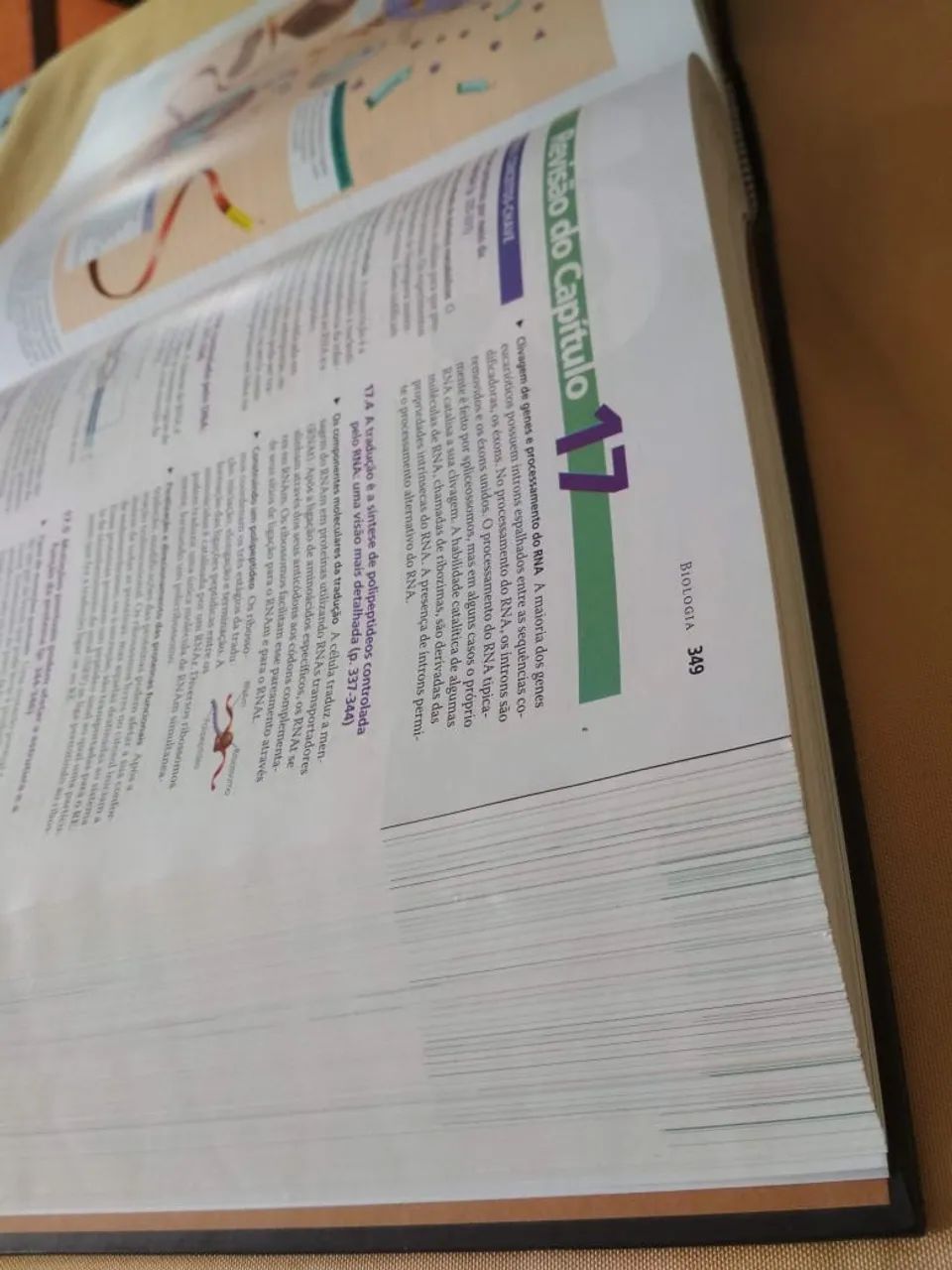 Livro Biologia Campbell Reece - Foto 3