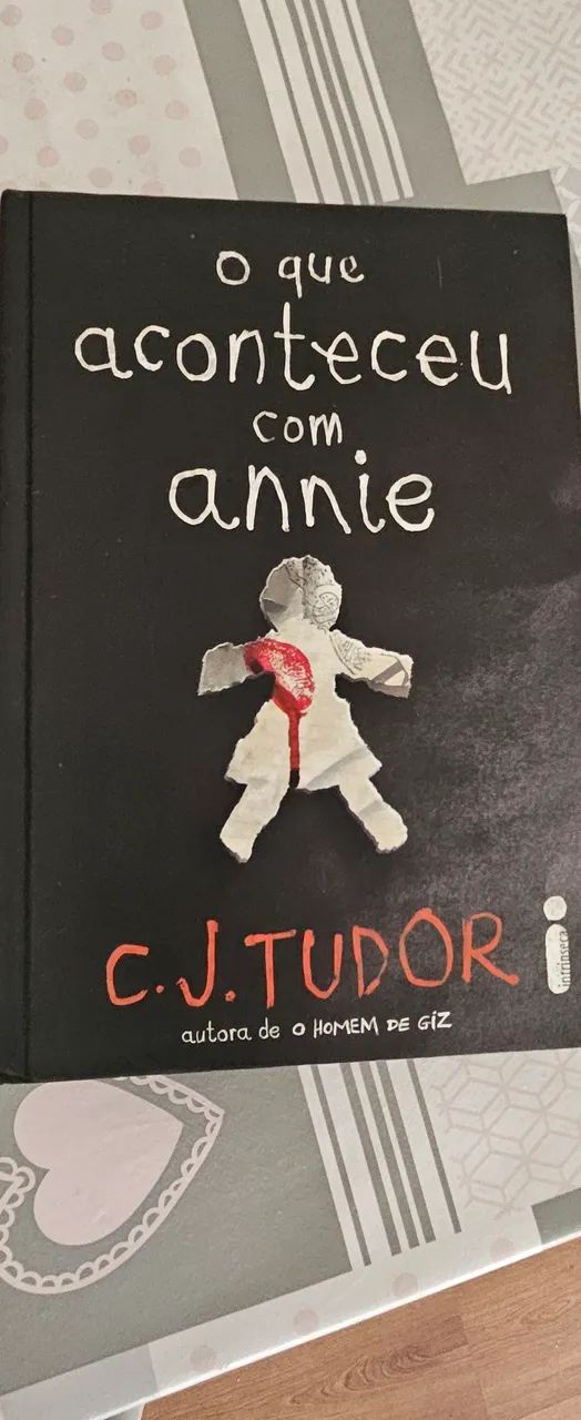 Livro O que aconteceu com Annie
