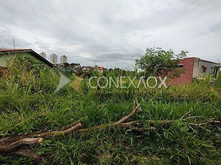 terreno - Parque dos Pomares - Campinas - Foto 3