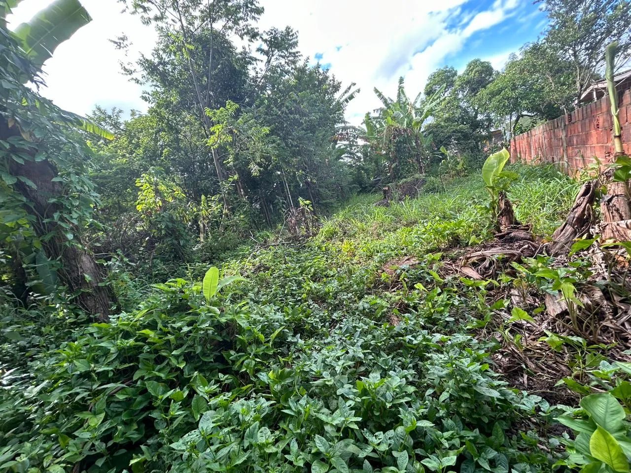 Vendo terreno no bairro cantão  - Foto 3