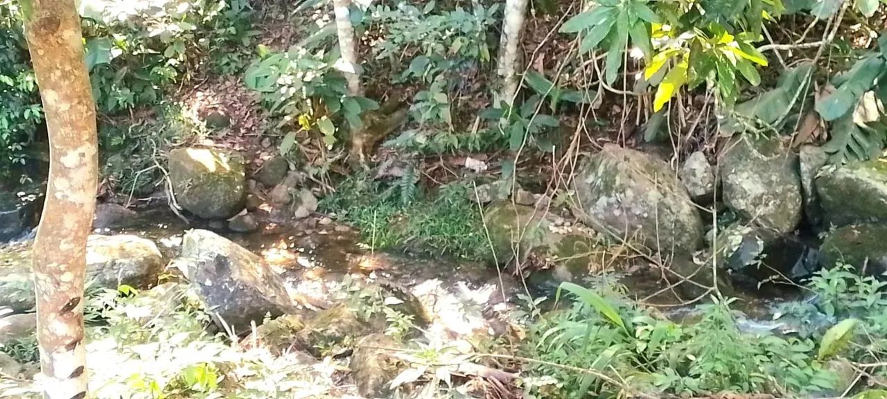 Sítio para venda em Sodrelândia na Região Serrana em Trajano de Morais/RJ, 6,5 Alqueires,  - Foto 4