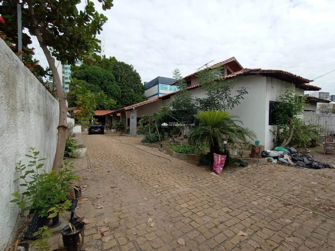 R. HONÓRIO PARENTES - BAIRRO: JÓQUEI - Foto 3