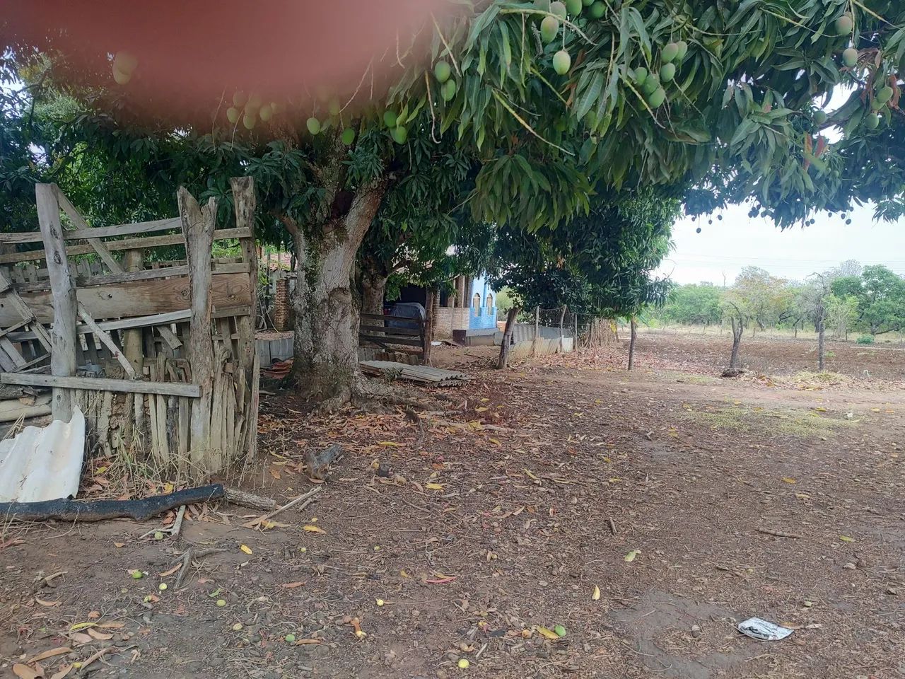 Fazenda DF Planaltina Beira DF 345 - Foto 2