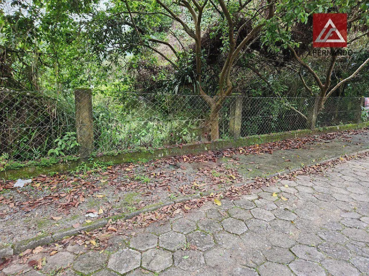 Terreno, 567 m² - venda por R$ 330.000,00 ou aluguel por R$ 1.824,35/mês - Itoupava Norte