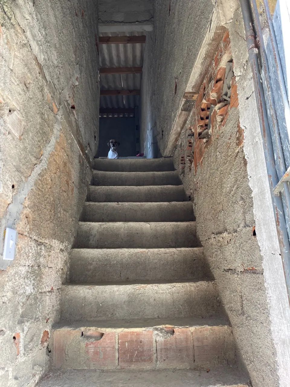 Foto - Recife - Pina