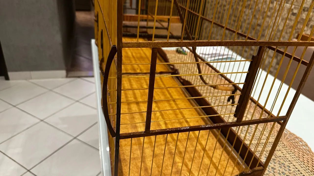 Gaiola Voadeira 1,20m Super Luxo - Foto 4