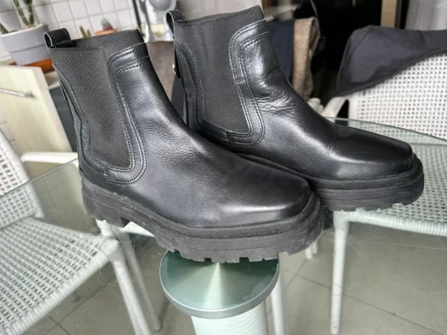 Bota