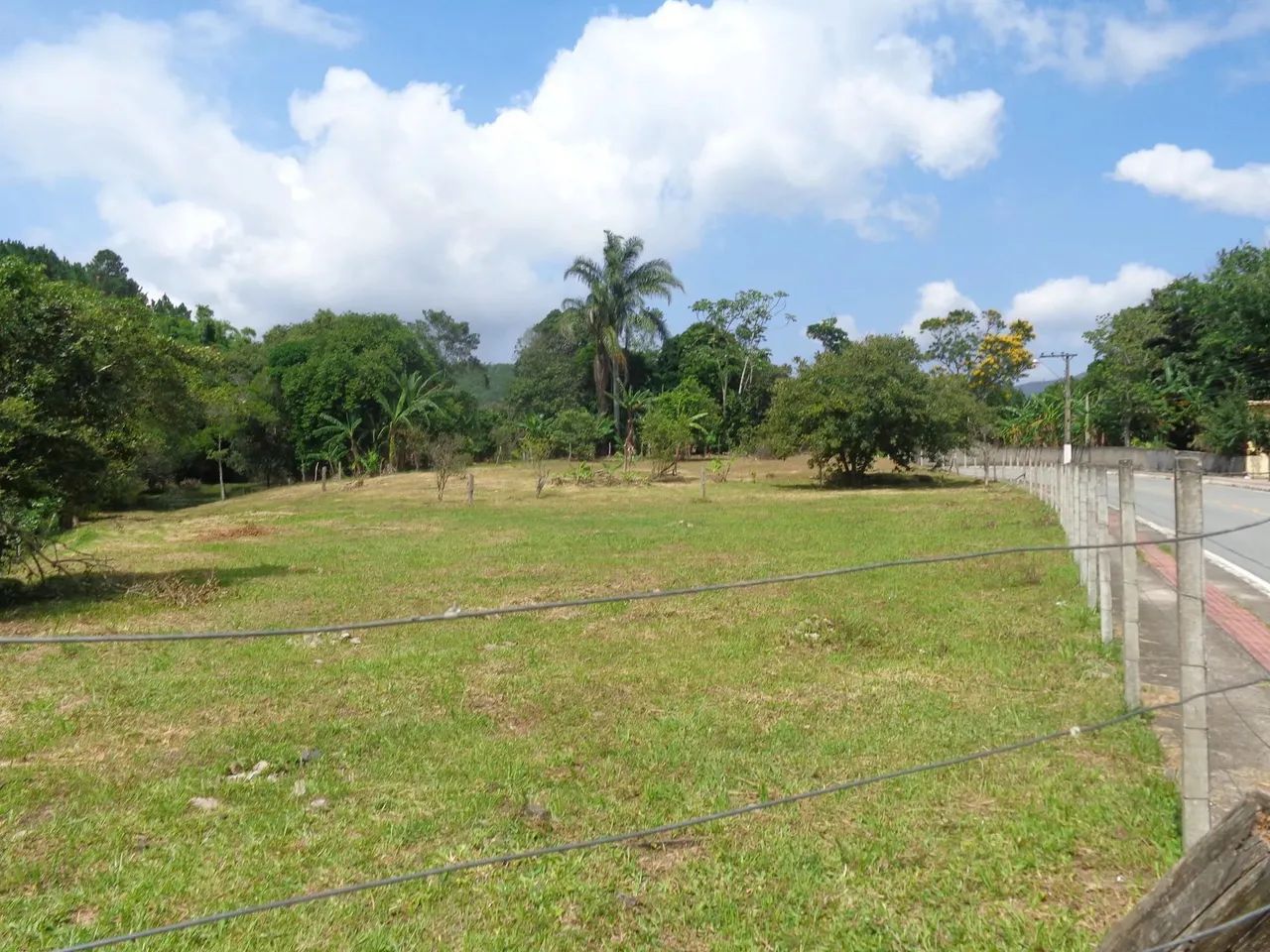 Imóvel para venda com 109000 metros quadrados em Ratones - Florianópolis - SC - Foto 2