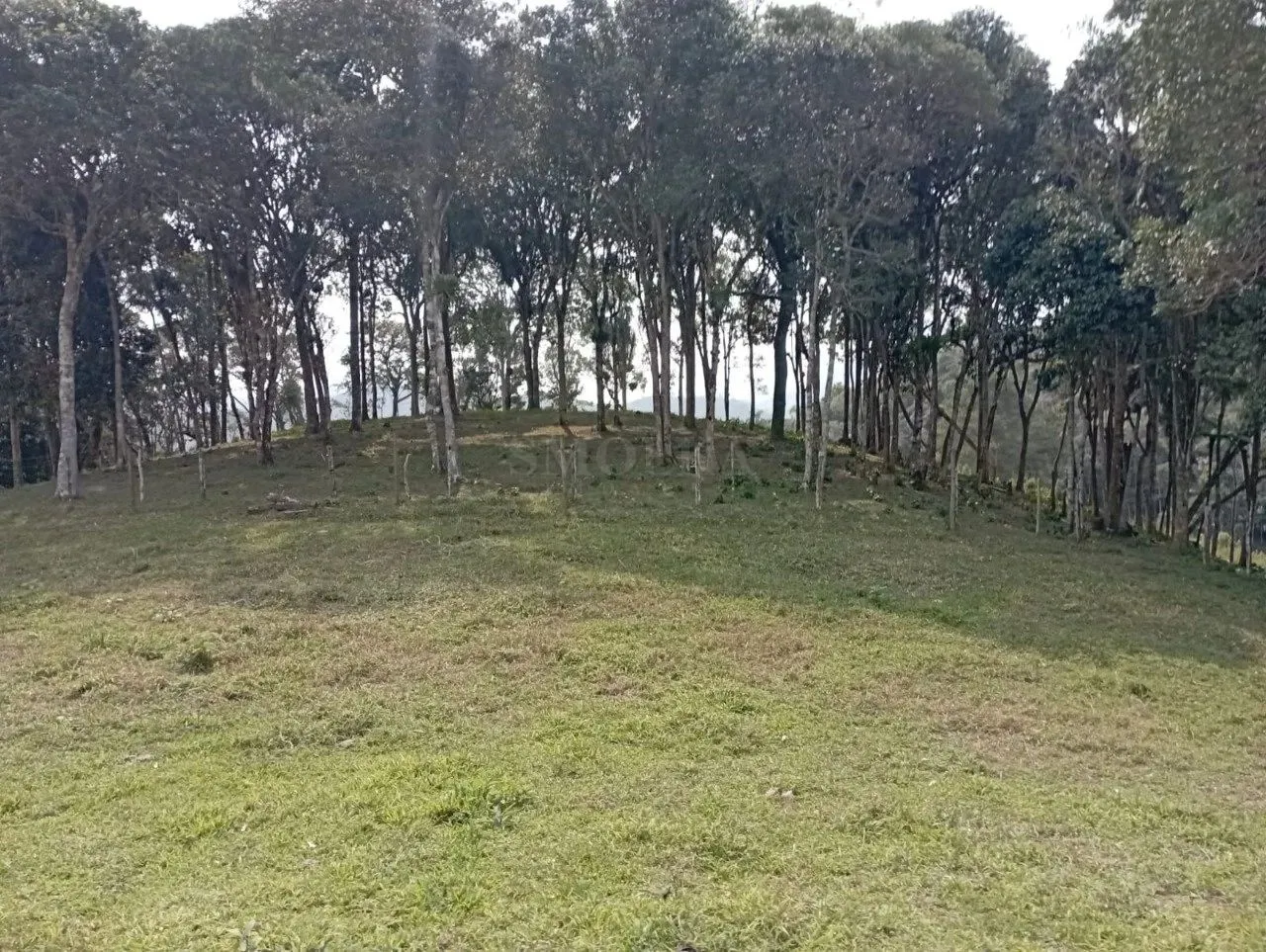 Terreno Em Condominio Village Impertriz Lote 43