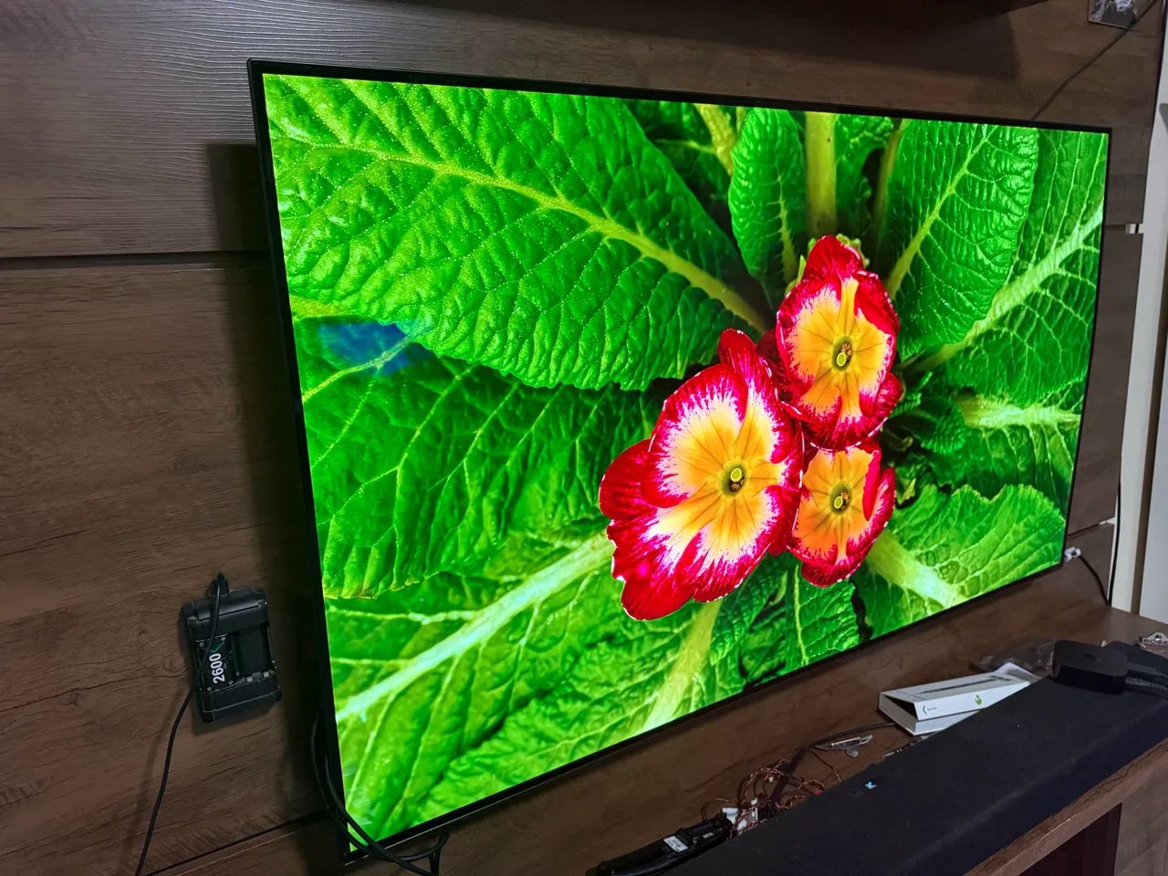 TV OLED CX 55 Polegadas em perfeito estado  - Foto 2