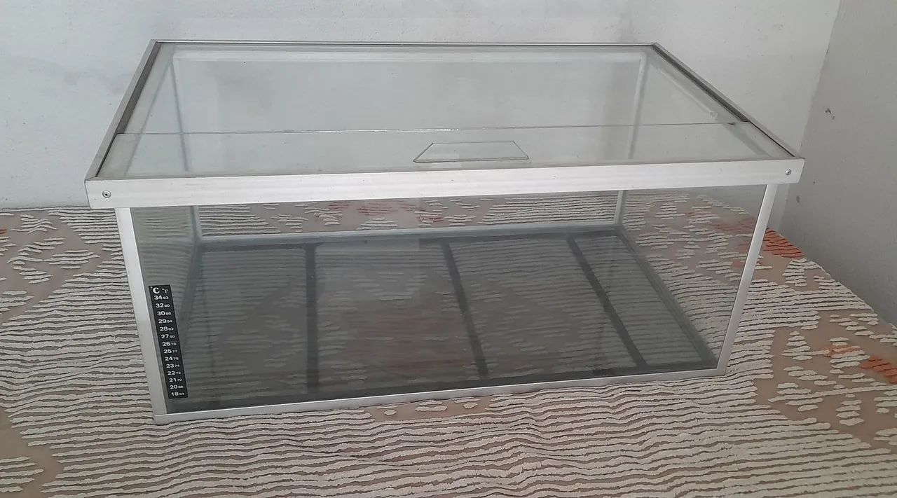 Aquário Terrario de Vidro
