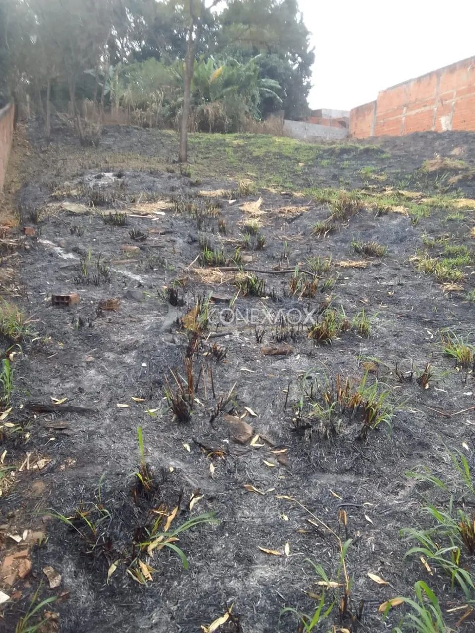 terreno - Cidade Satélite Íris - Campinas - Foto 3