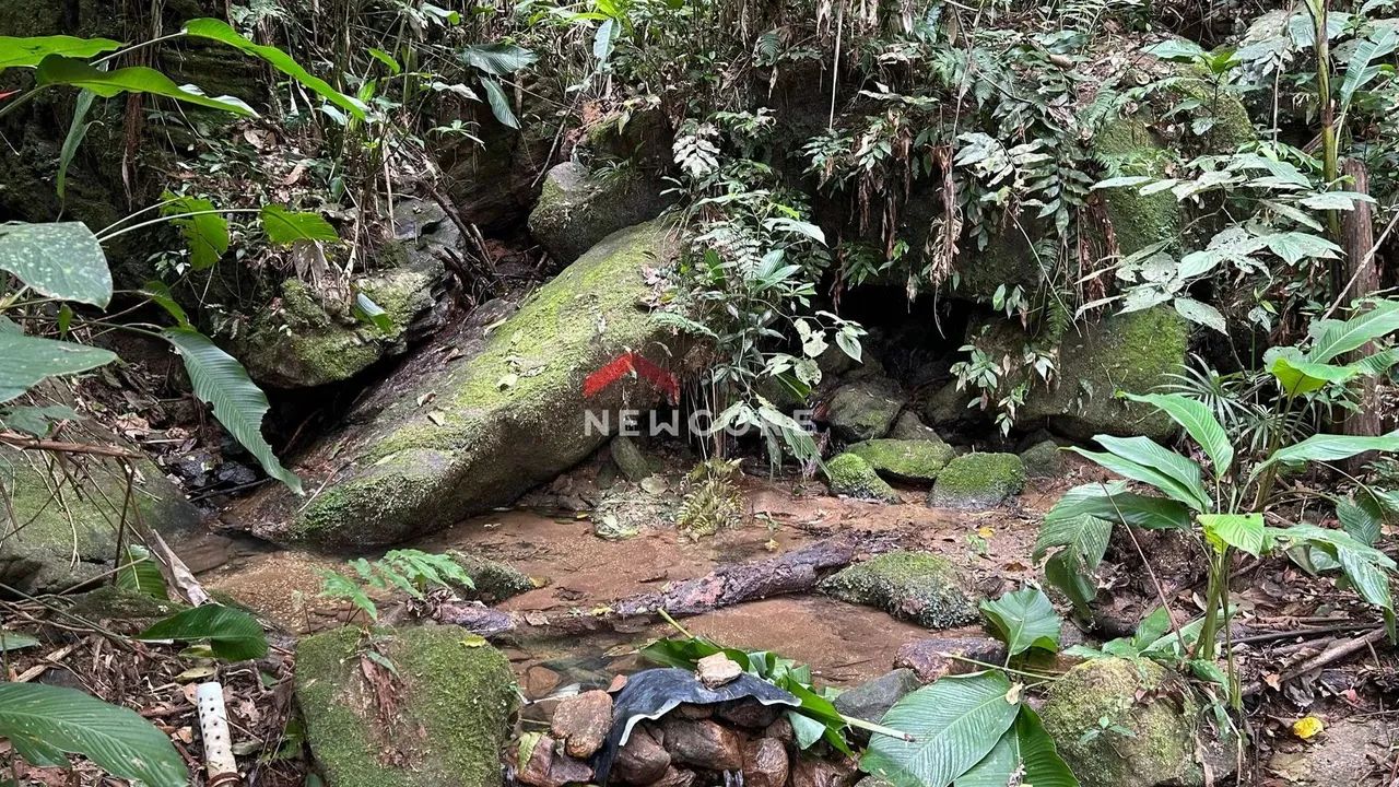 Sítio em Área Rural - Braço - Camboriú/SC - Foto 4