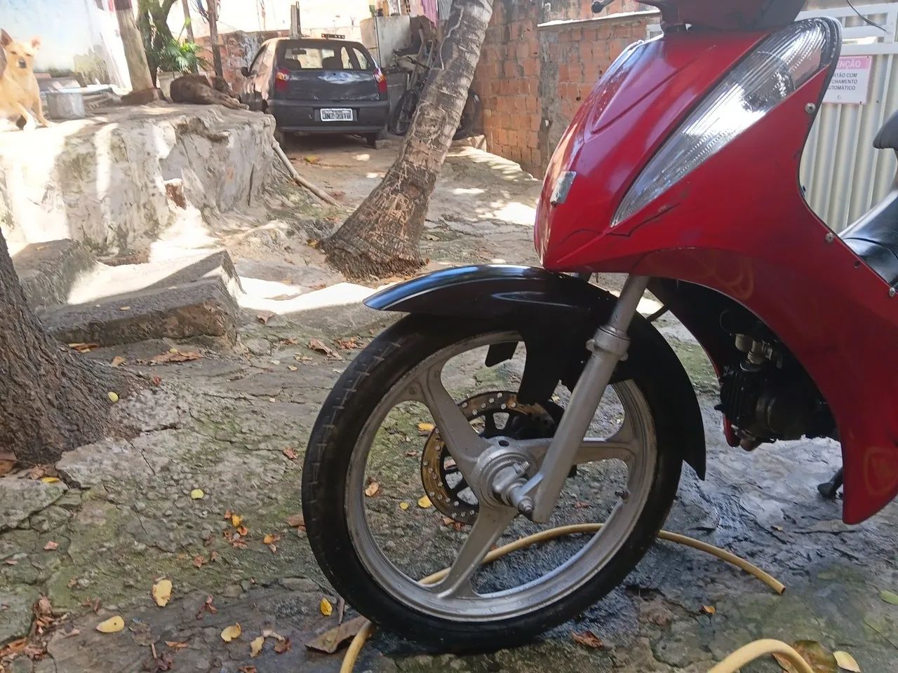 Marvaruf50 cc - Foto 4