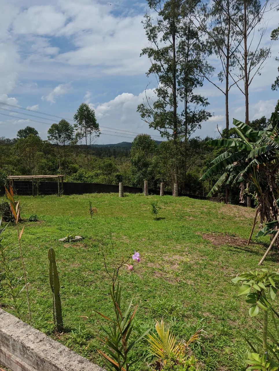 Chácara em estrada do 15, Marsilac. - Foto 3