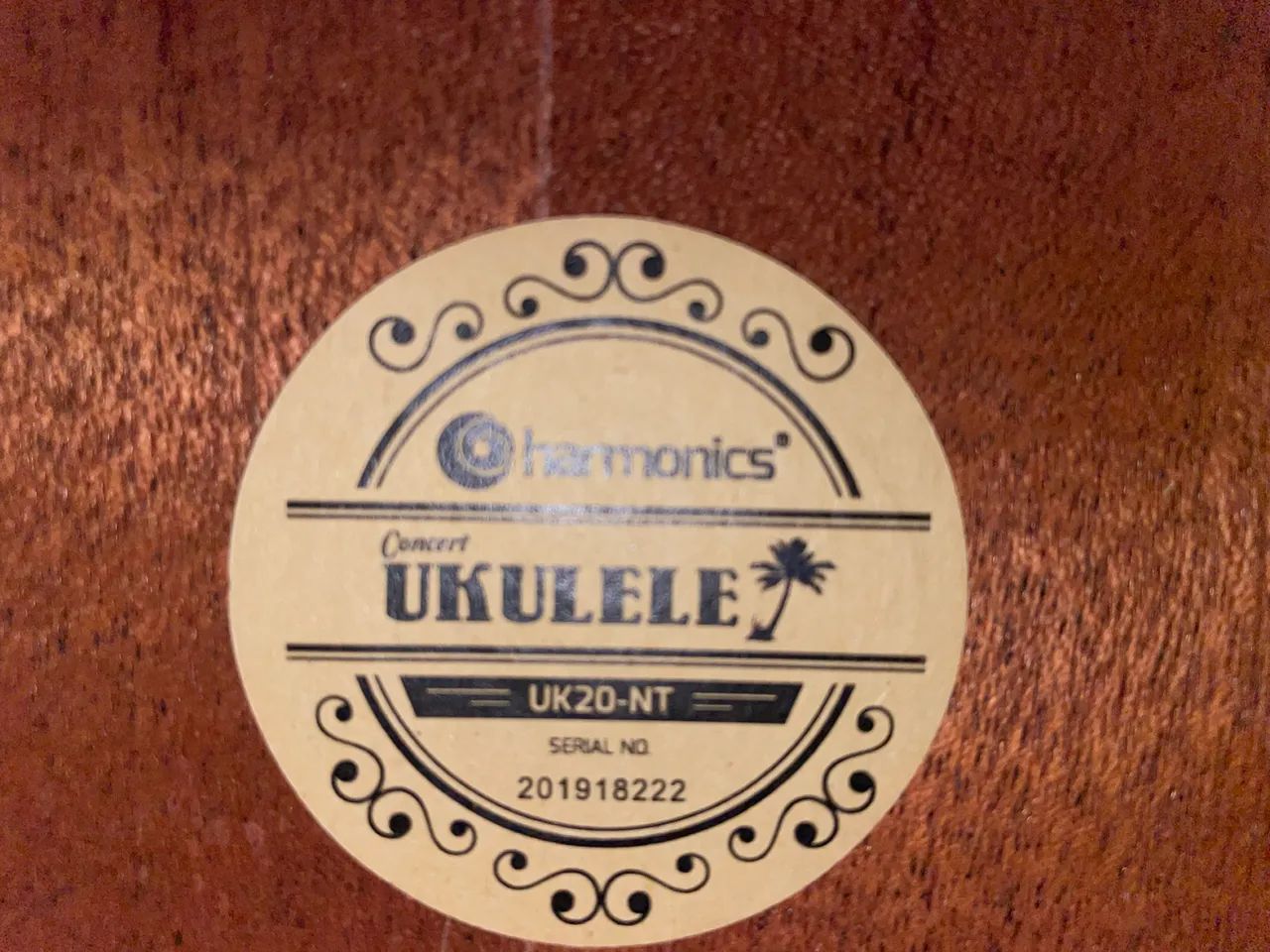 Ukulele - Foto 4