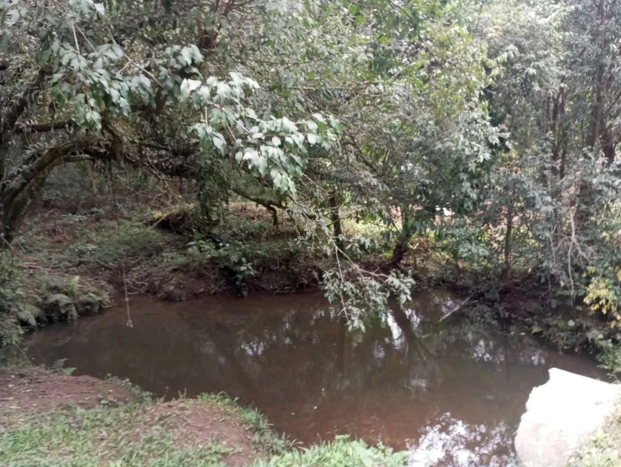CHÁCARA NA DIVISA DE CAMPO LARGO COM BALSA NOVA<br>