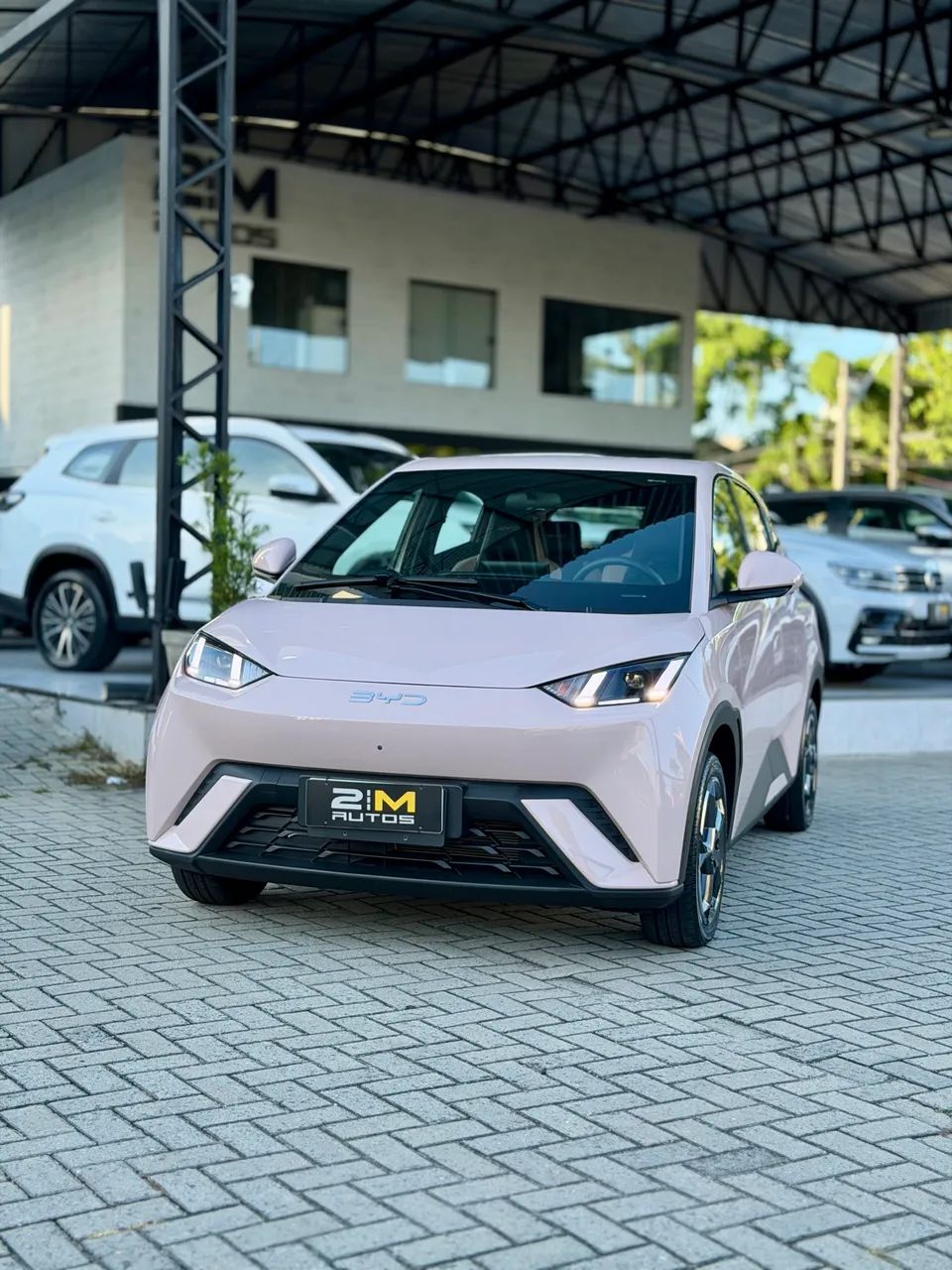 BYD Dolphin Mini (Elétrico) 2025