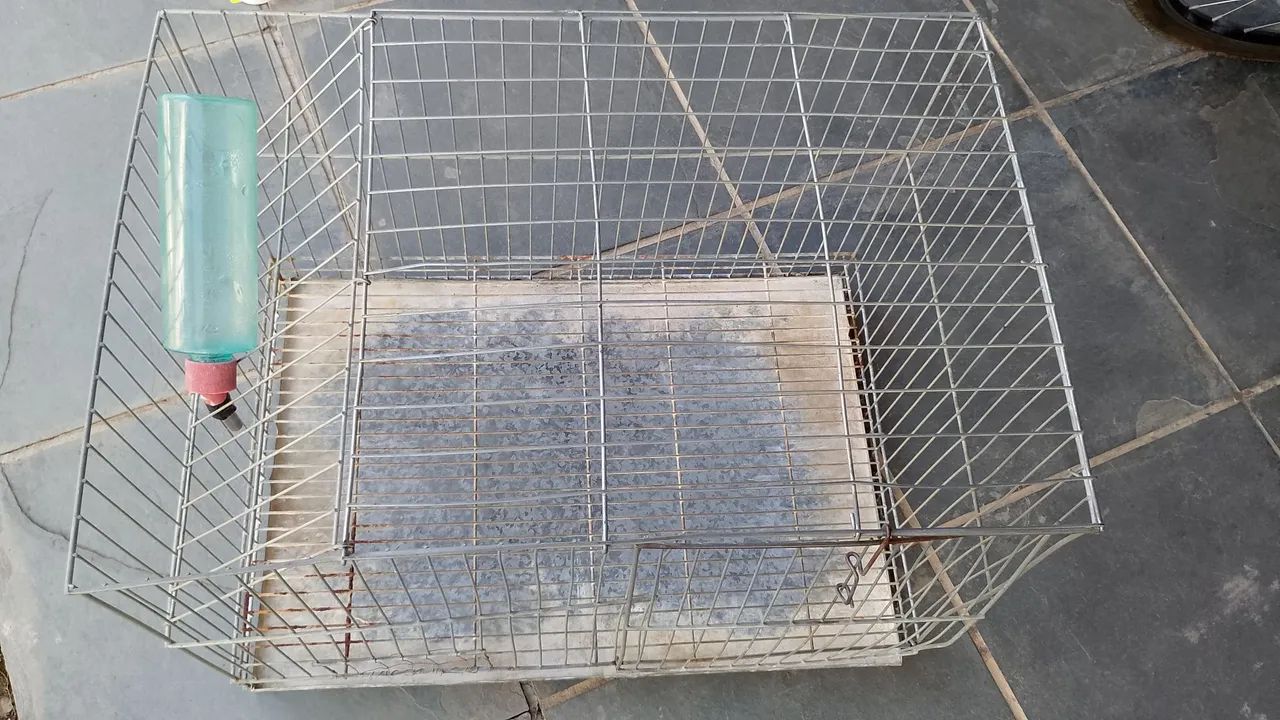 Gaiola - Foto 2