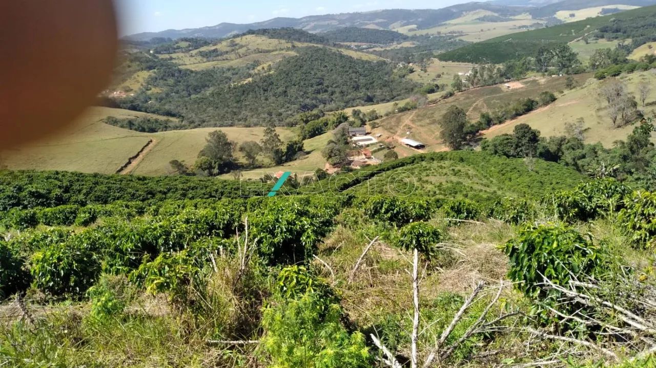 fazenda - Centro - Cambuquira - Foto 2
