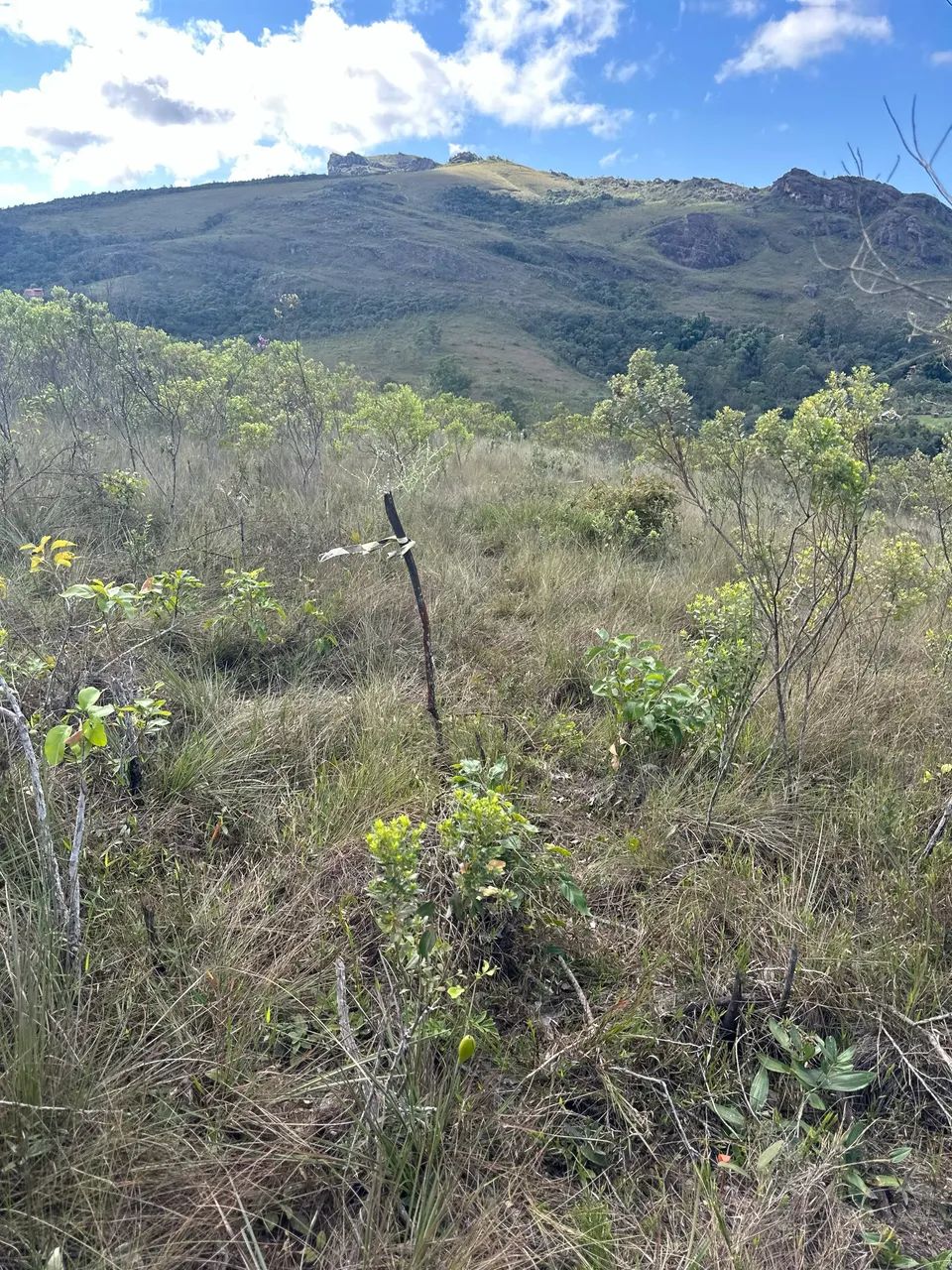 Lote a venda na Chapada de Ouro Preto  - Foto 5