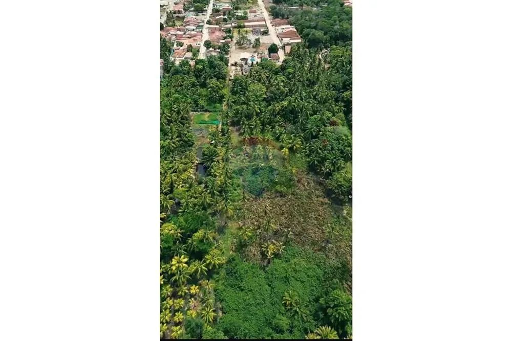 Área em Marechal Deodoro no Povoado Mucuri. - Foto 2