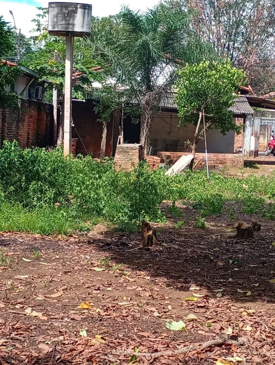 Foto - Paraíso do Tocantins - 