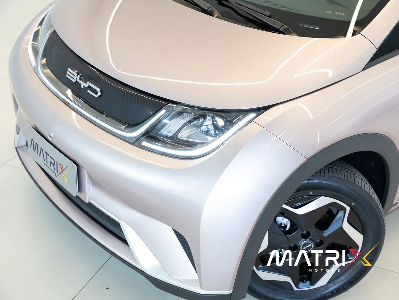 BYD Dolphin EV (Elétrico) 2024 - Foto 4
