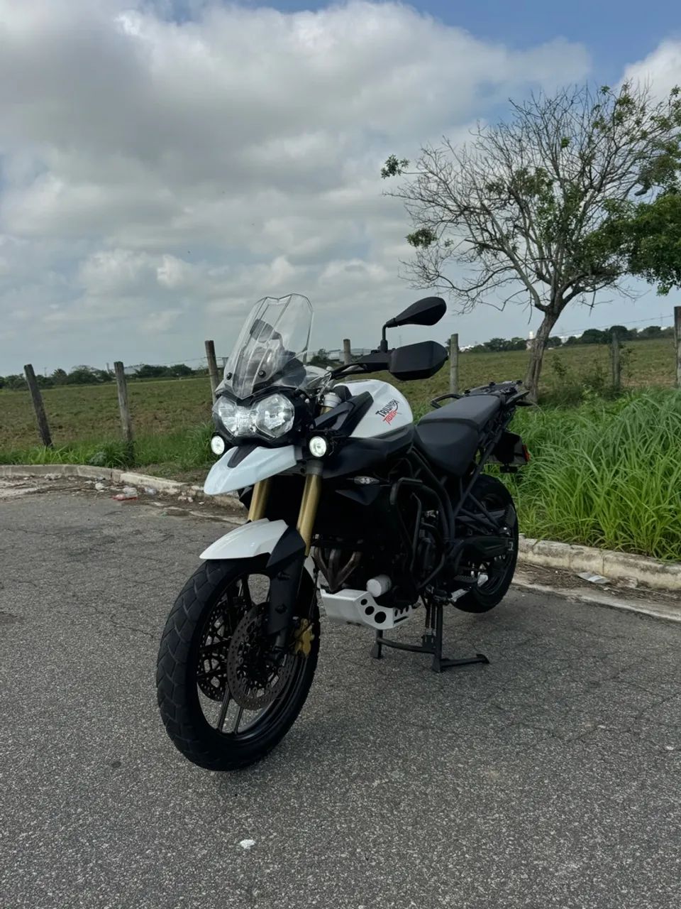Tiger 800 - Foto 2