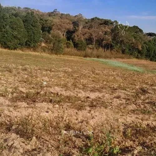 70  Descubra o Terreno Perfeito Para Sua Casa de Campo! - Foto 8
