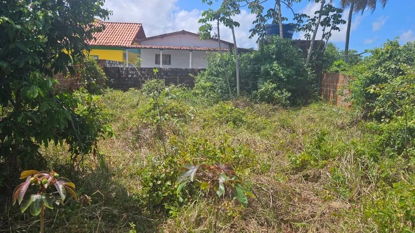 TERRENO 15X30 EM FAGUNDES  - Foto 4