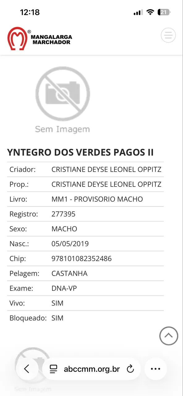 Cavalo Manga Larga - Foto 4