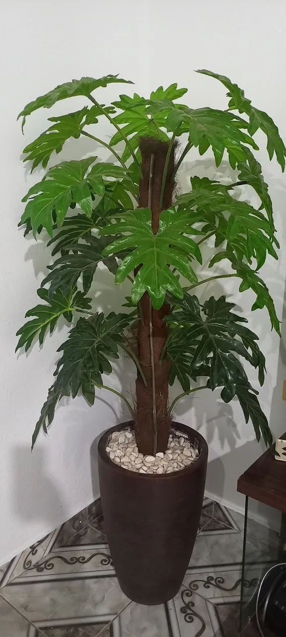 Desapego - Foto 2