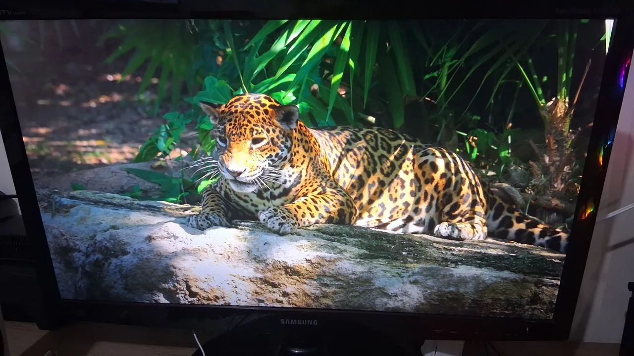 Monitor Samsung SyncMaster T27B350