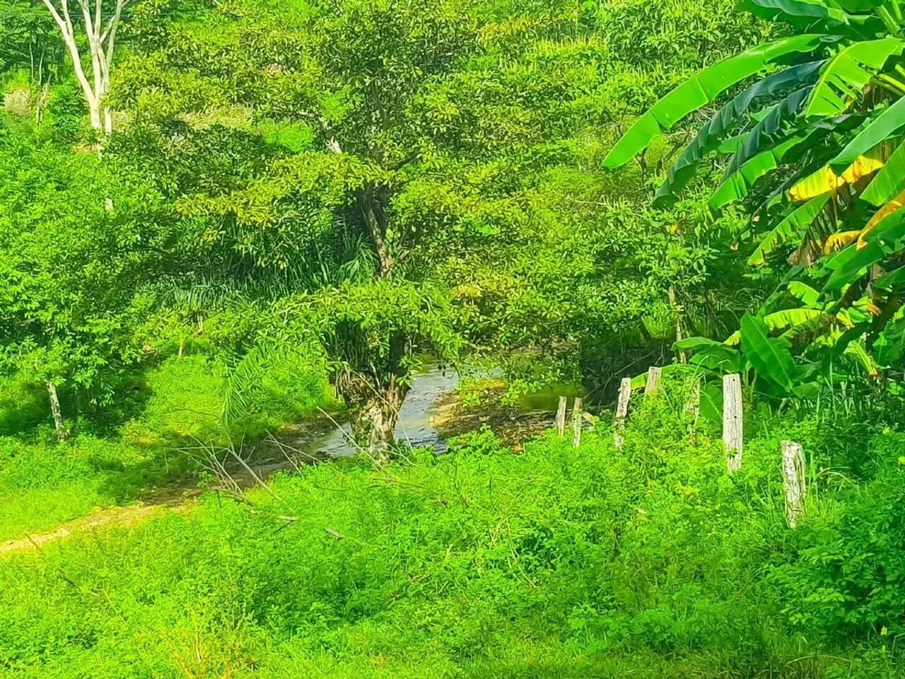 Imóvel rural, 110 m² no Zona Rural em Jaú do Tocantins - Foto 2