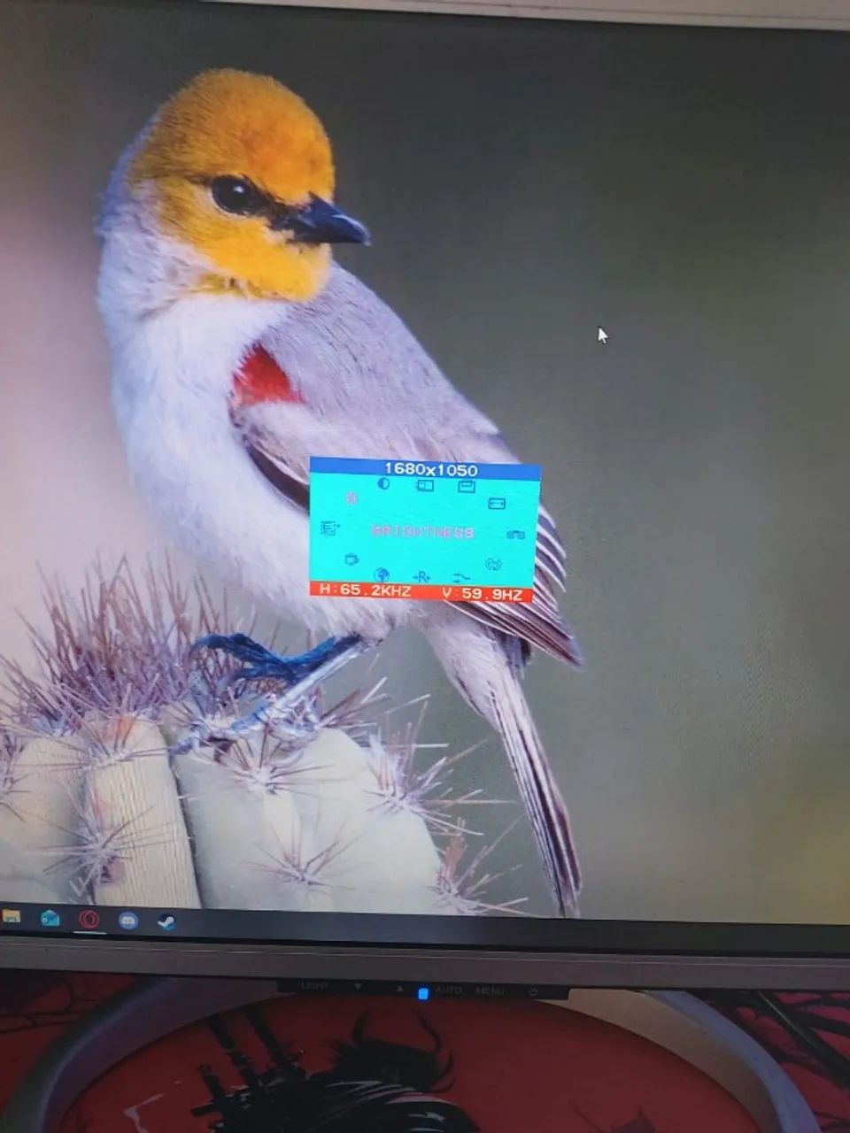 Monitor 60 hz de 22 Polegadas com detalhe - Foto 2