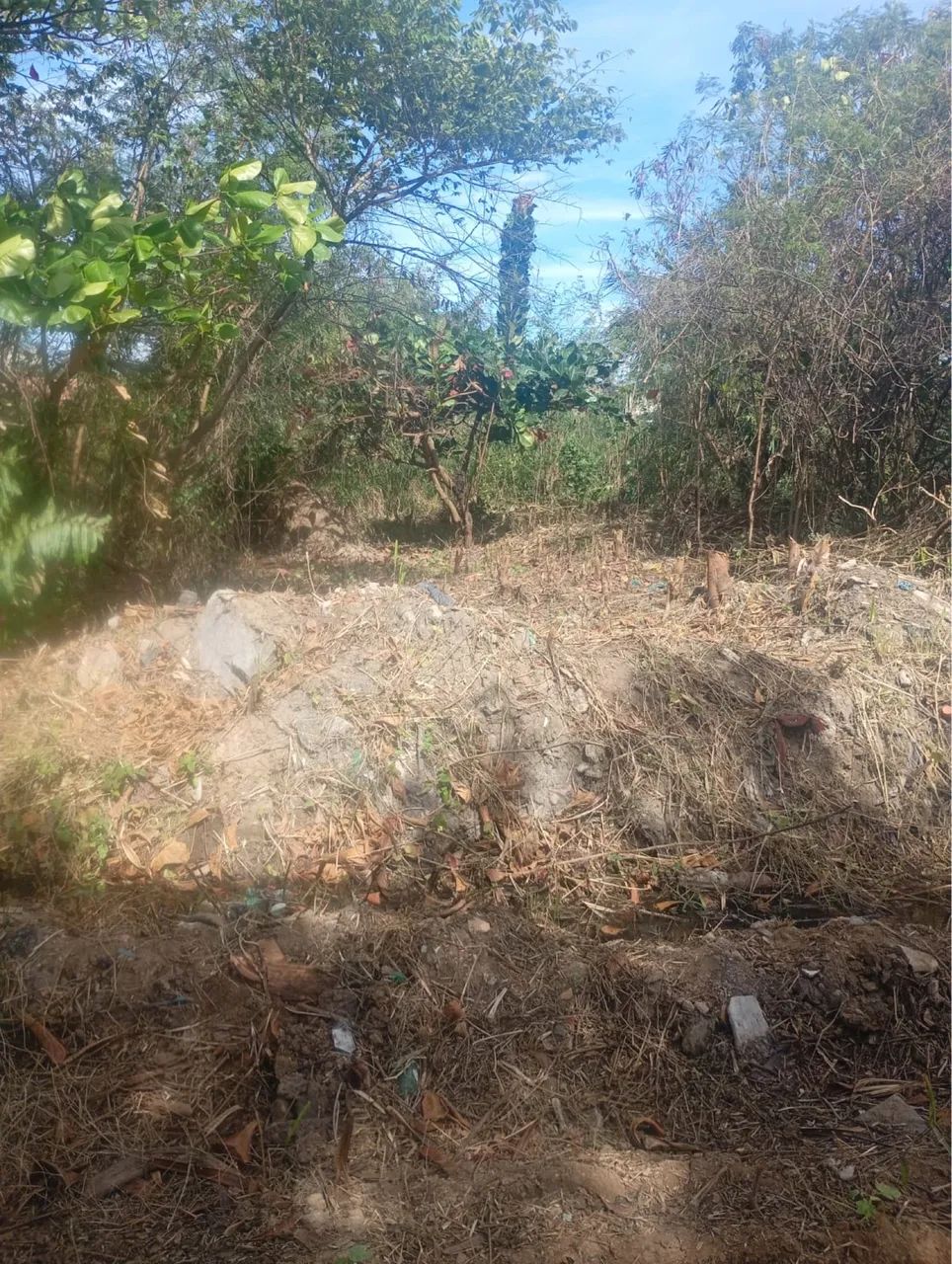 Vendo Terreno - Foto 3