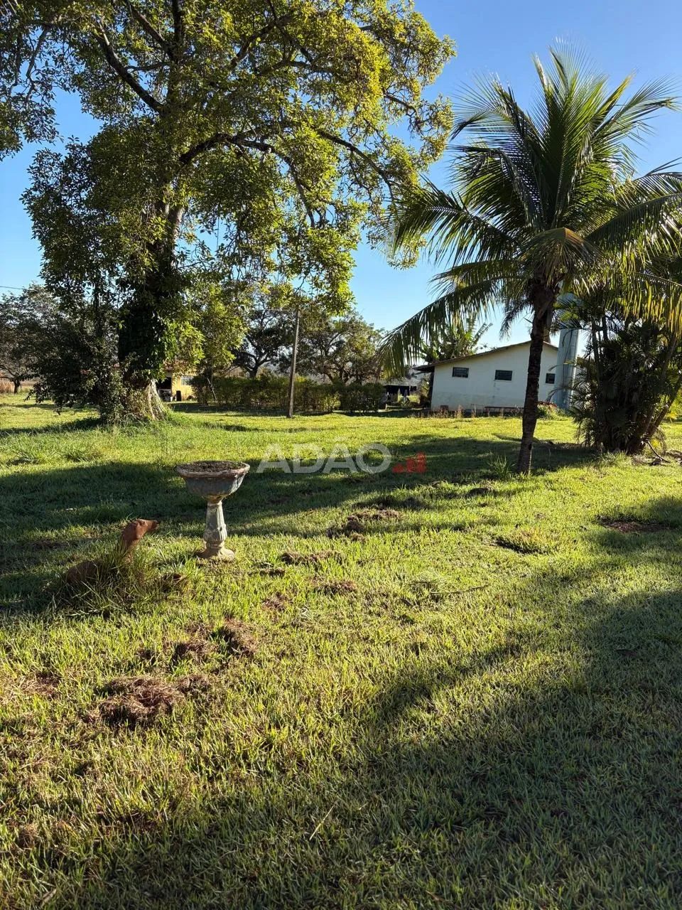 CHACARA TERESOPOLIS GOIAS - Foto 3