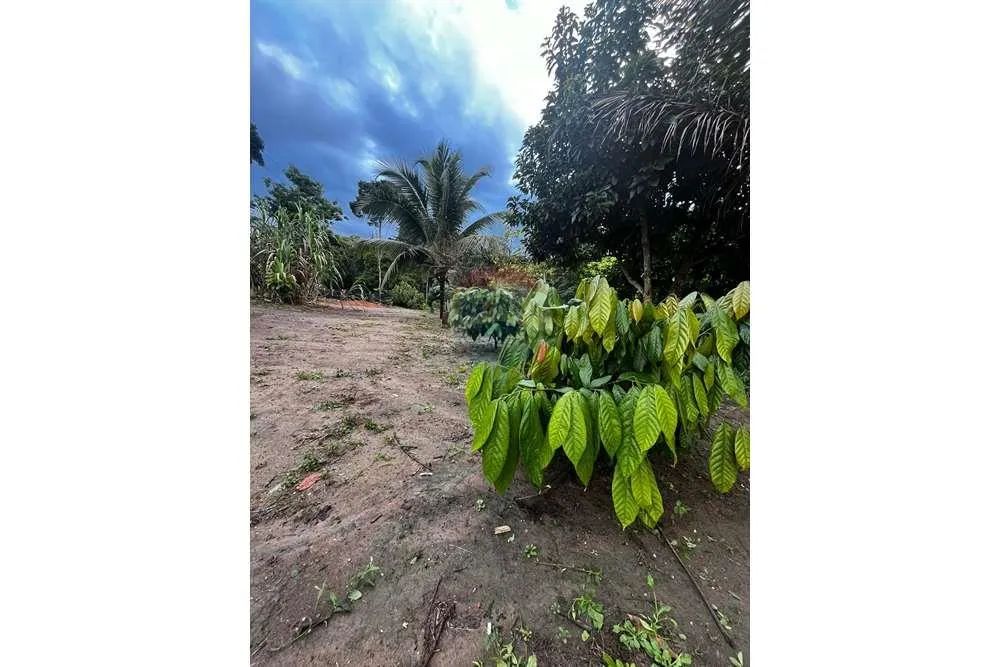 VENDO UM SITIO EM ITAMARAJU BAHIA - Foto 4