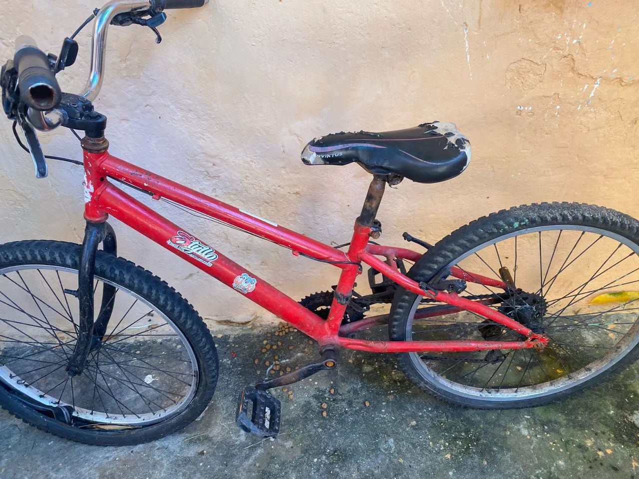 Bicicleta 